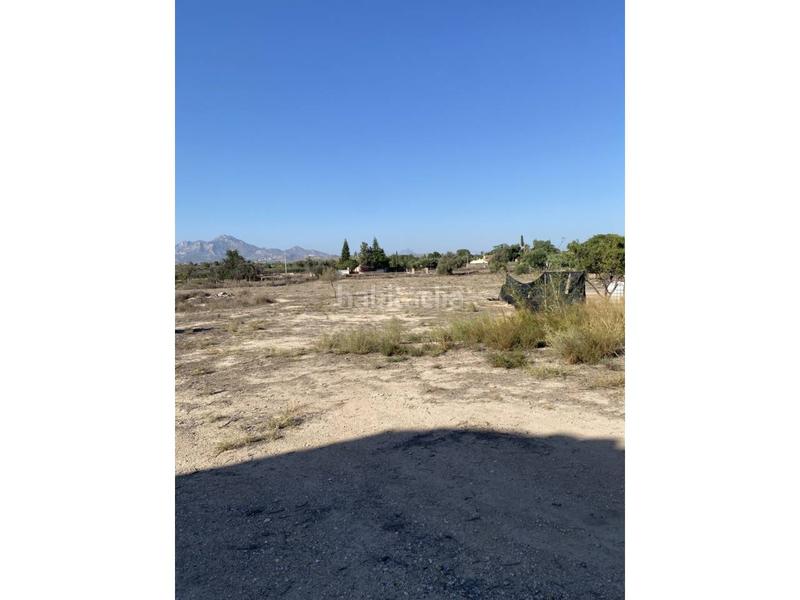 Foto 1277d529-f07c-463a-96c1-6ba9ca8738e6. Bauernhof in La Huerta Mutxamel