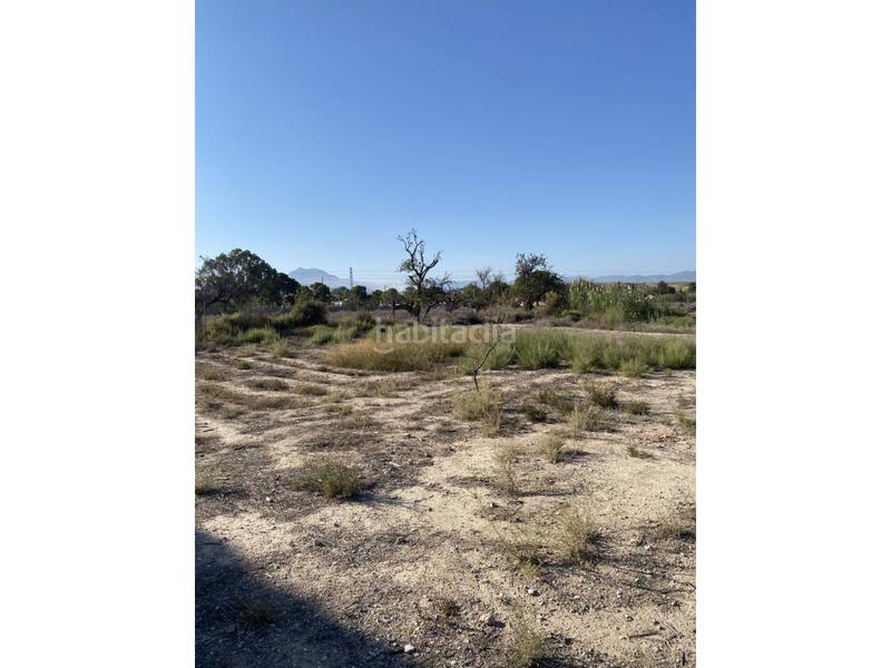 Foto 4d1a27d5-2f9a-4a8f-a2b5-d4b3c5260606. Bauernhof in La Huerta Mutxamel