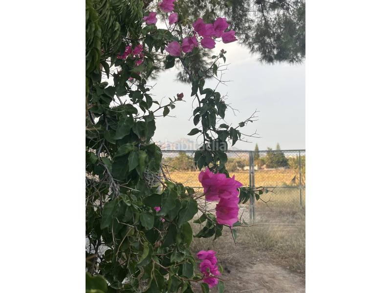 Foto 4d3827b0-17aa-4085-ac86-ad29c034fbbd. Bauernhof in La Huerta Mutxamel