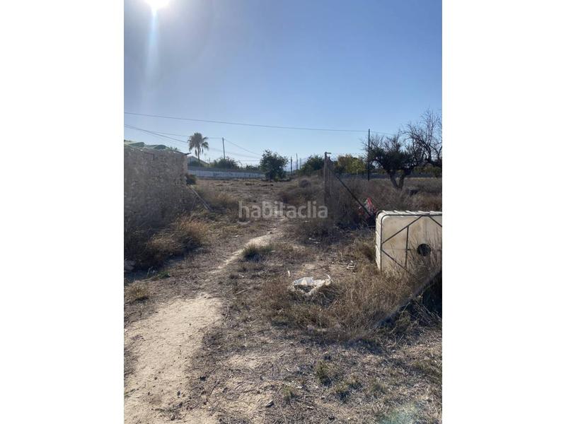 Foto 6c6c6d63-1955-419d-a024-4d70efccf53d. Bauernhof in La Huerta Mutxamel