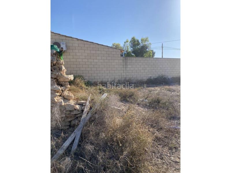 Foto 8327f327-927f-44cc-861a-dd4fb67600fe. Bauernhof in La Huerta Mutxamel