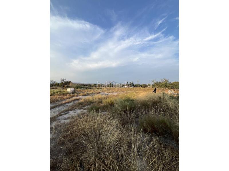 Foto 83b73edc-d4b3-4917-a183-04d453a4c50d. Bauernhof in La Huerta Mutxamel