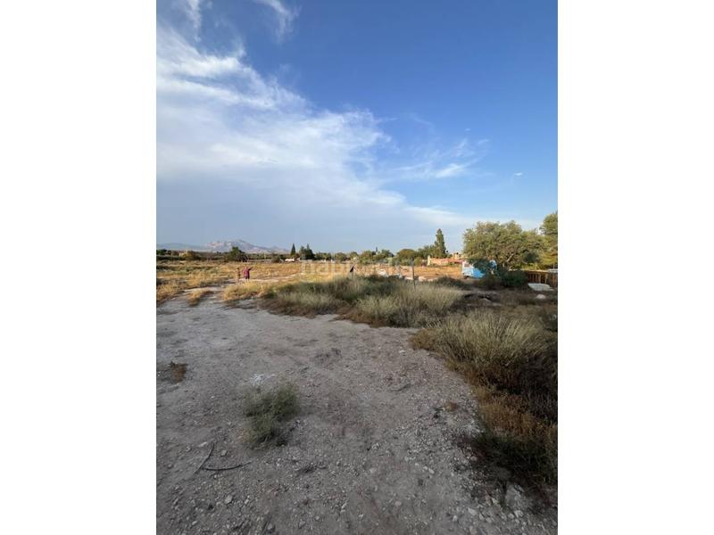 Foto 8e274be3-54c0-464b-8d10-a8df59126188. Bauernhof in La Huerta Mutxamel