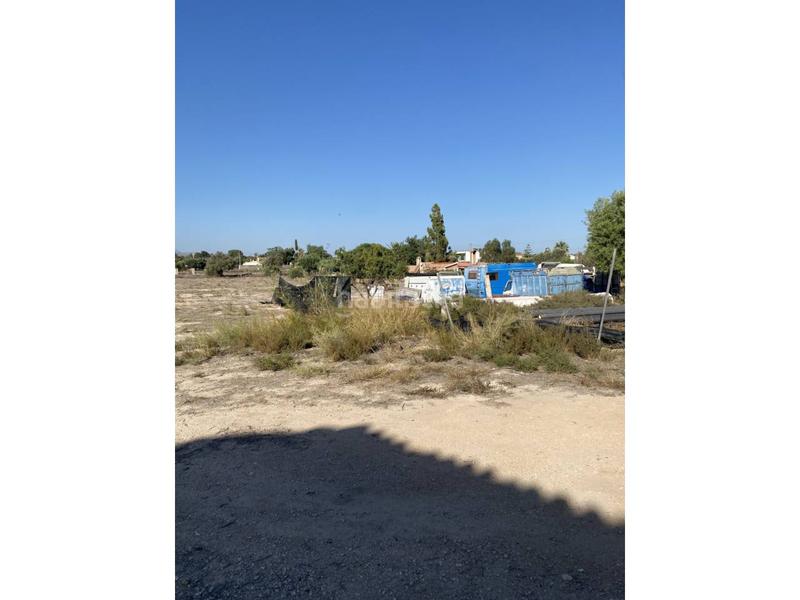 Foto 9e6cecd7-e081-4982-9386-30ed68bfb120. Bauernhof in La Huerta Mutxamel