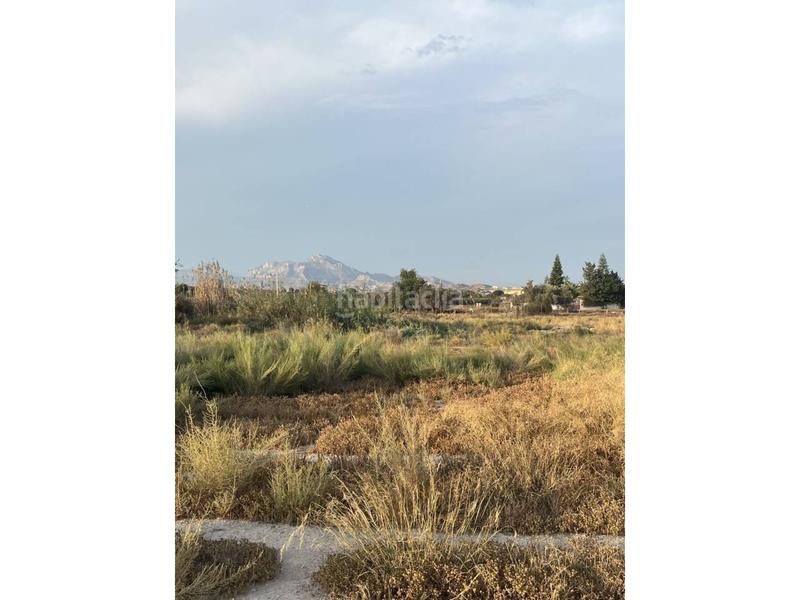 Foto bd7845c7-a136-4930-8be4-db5b0fb9617d. Bauernhof in La Huerta Mutxamel