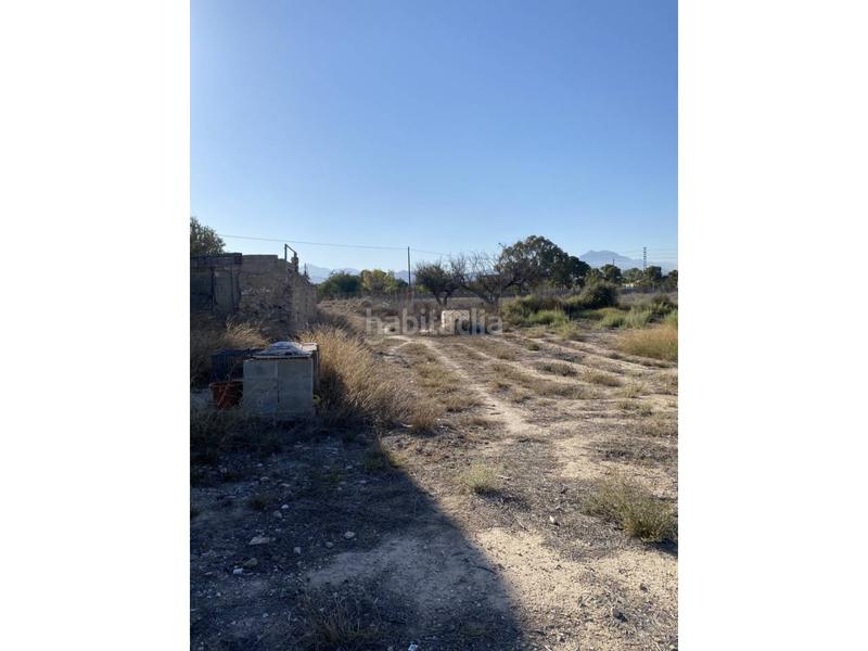 Foto d88fde38-5b58-449e-a7b1-f721562c89eb. Bauernhof in La Huerta Mutxamel