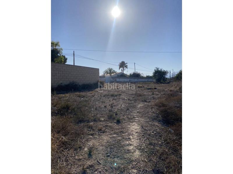 Foto dbc28c6d-15a5-48a8-bb6d-72559a798209. Bauernhof in La Huerta Mutxamel