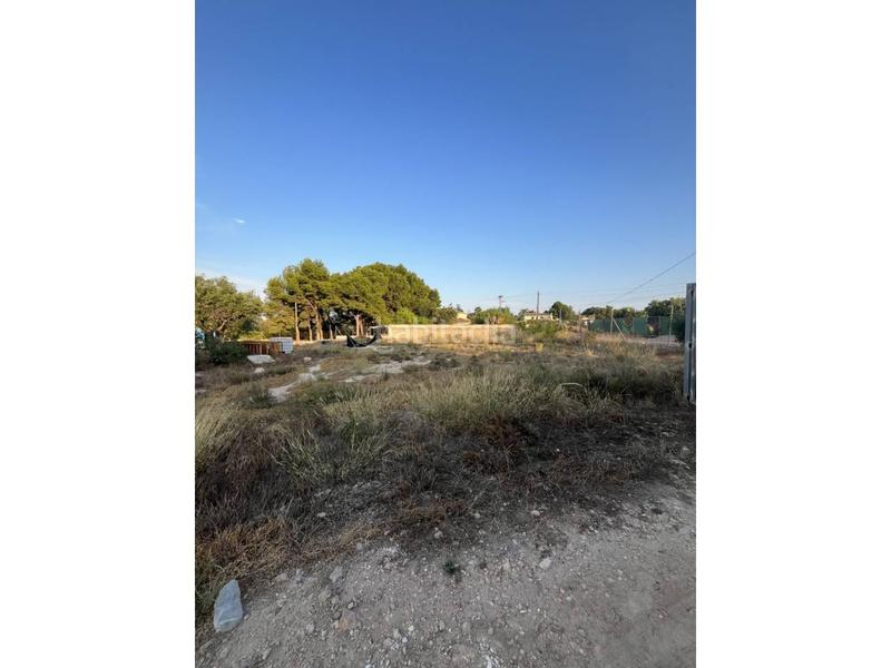 Foto e10ab9a8-c157-496c-8608-d7b3f748b925. Bauernhof in La Huerta Mutxamel