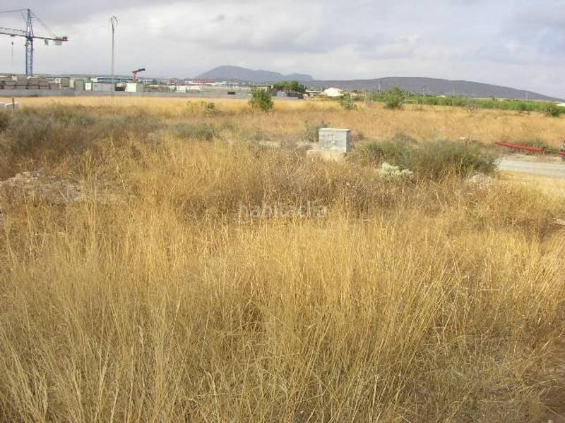 Foto e3cd609d-a8f6-4c84-86b3-dda153c39d00. Terrain résidentiel dans Torrellano Elche / Elx