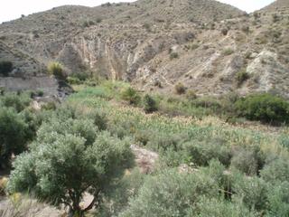 Terrain résidentiel  Monegre. Venta de finca rústica en alicante  alacant