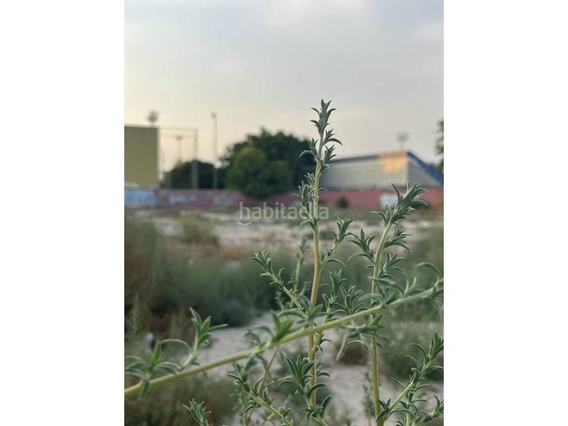 Foto 74d43902-16a8-4e7c-b844-4f921057fbc0. Terreno residencial venta de terreno en mutxamel en San Juan de Alicante