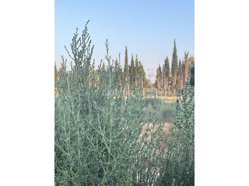 Foto bda085c0-5d00-4bb0-b350-489fd4ca7409. Terreno residencial venta de terreno en mutxamel en San Juan de Alicante