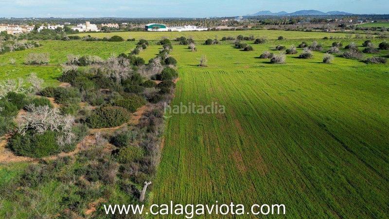 Foto 02a1d72b-1241-42a1-bae9-18cae3a31d68. Finca rústica a Ses Salines poble Ses Salines