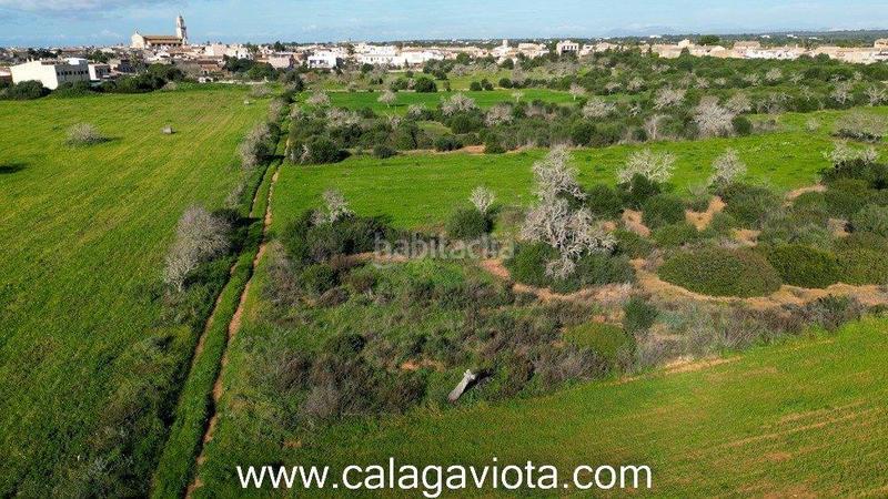 Foto 1a599912-ad56-4b89-a09a-d0aa764f938f. Finca rústica a Ses Salines poble Ses Salines