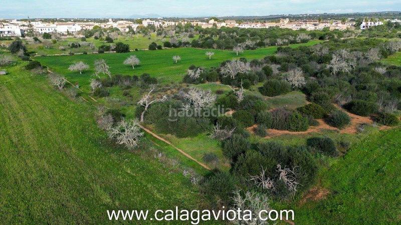 Foto 3c8b46e3-abce-4b04-8aa0-daa3d00be53b. Finca rústica a Ses Salines poble Ses Salines