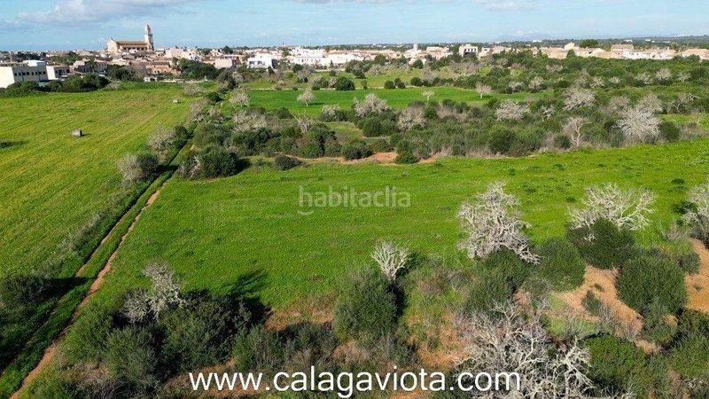 Foto 4b5e89a3-95a9-46bd-9dfb-4d6a3c7e3418. Finca rústica a Ses Salines poble Ses Salines