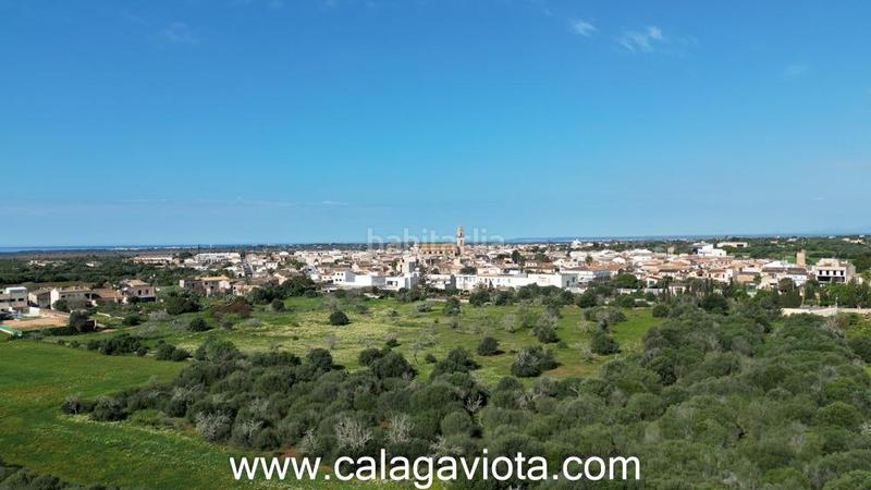 Foto 7931dcbe-dcd3-4722-a8f6-d261e4558ceb. Finca rústica a Ses Salines poble Ses Salines