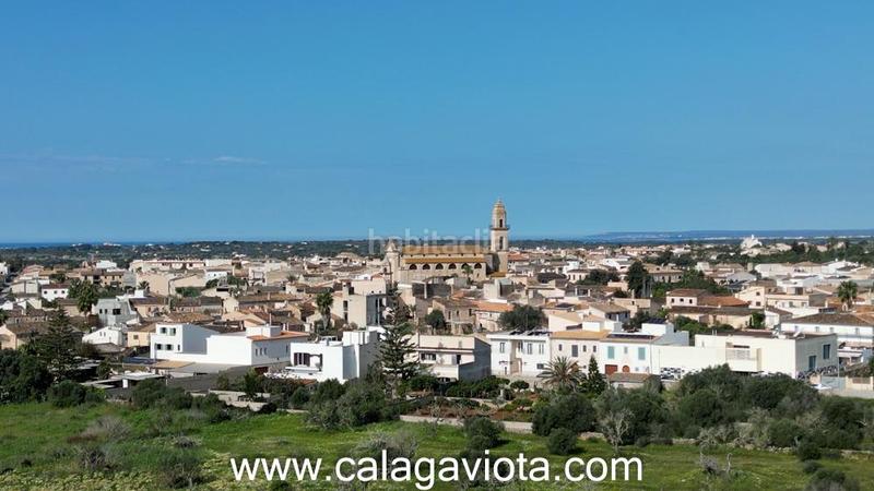 Foto 8d41abce-d93e-4be7-b95d-6be9b7c2d725. Finca rústica a Ses Salines poble Ses Salines