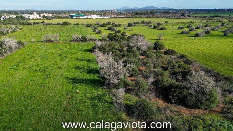 Foto 919ab08d-67c2-4ce6-b62c-3480d4722961. Finca rústica a Ses Salines poble Ses Salines