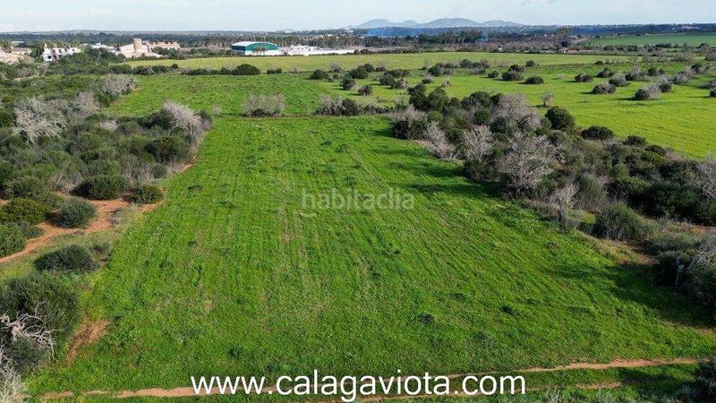 Foto a3106fad-4883-4db7-af56-de05fee38299. Finca rústica a Ses Salines poble Ses Salines