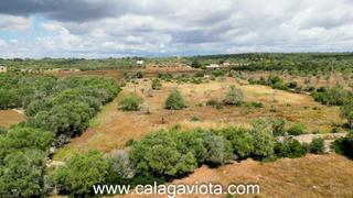 Rural plot in Ses Salines Poble. Terreno rústico en venta en ses salines