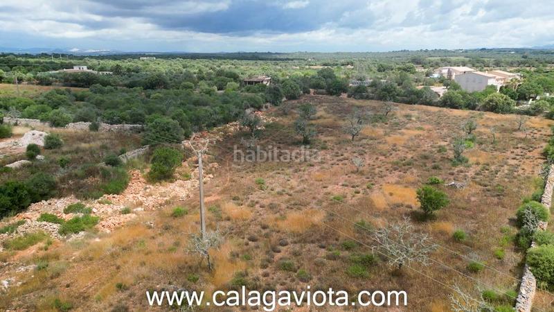 Foto 56b99f47-40c0-4f71-8a56-7b2bf00d05d1. Fondo rustico in Ses Salines poble Ses Salines