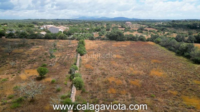 Foto 60706d3e-6d0b-4735-82e9-b2ff962592d9. Fondo rustico in Ses Salines poble Ses Salines