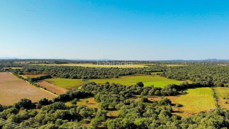 Foto 0a50ca9c-7a8e-4b5a-8938-3c4298bfe9d6. Finca rústica a Ses Salines poble Ses Salines