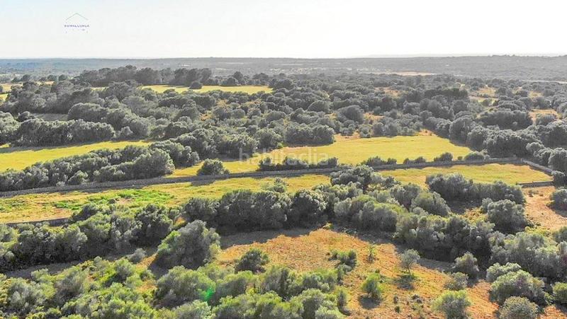 Foto 3bca1bfa-308c-4d7c-b5e9-13e10ed8fe7a. Finca rústica a Ses Salines poble Ses Salines