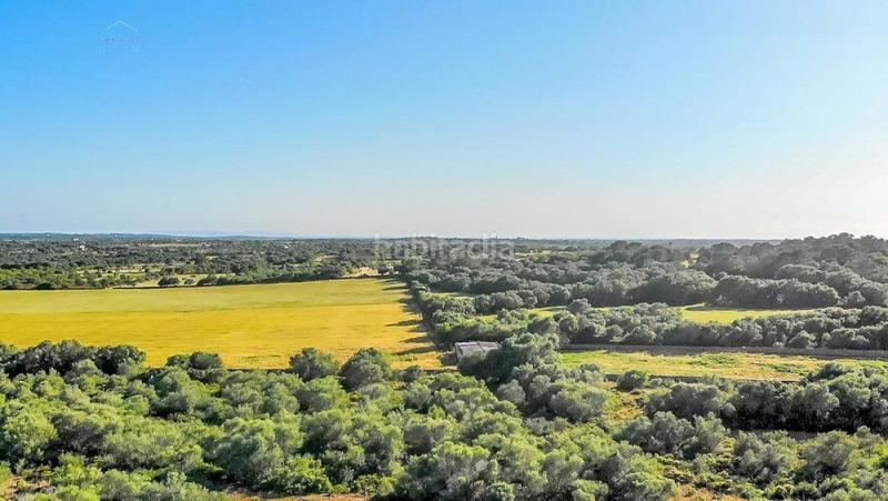 Foto 4f5ac2e8-99ea-4f76-a34d-e52ab0253489. Finca rústica a Ses Salines poble Ses Salines