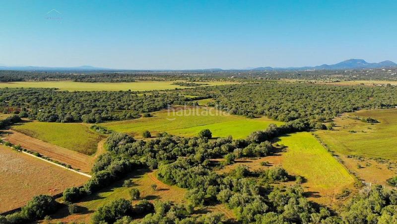 Foto 78ebf3c0-a668-4638-b7a4-dc2e2f458d5d. Finca rústica a Ses Salines poble Ses Salines