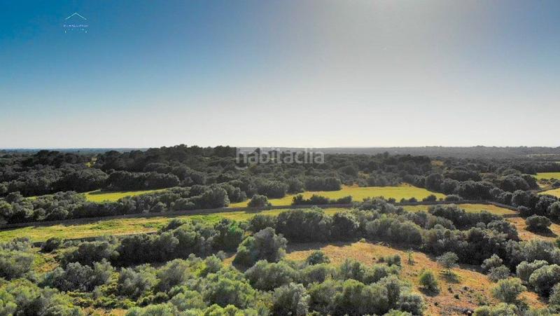 Foto 91dd3d4c-5dc9-40d9-9c0b-7a7d40dede85. Finca rústica a Ses Salines poble Ses Salines
