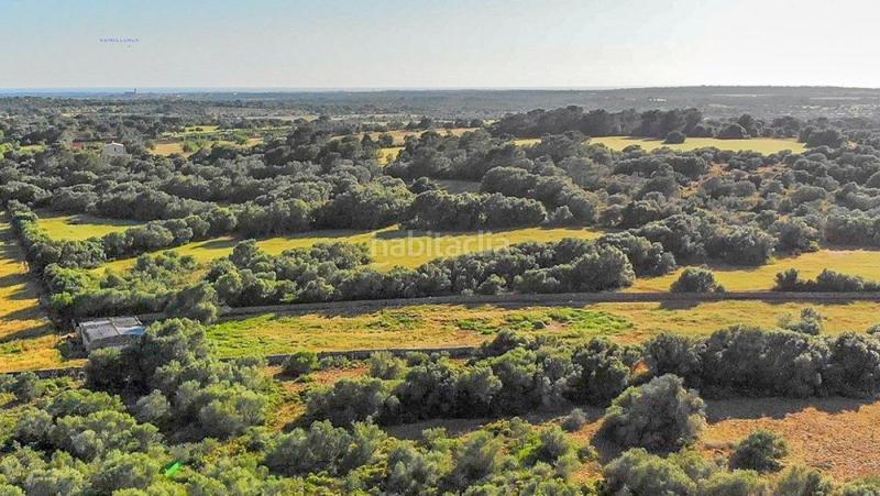 Foto 96c5b208-1404-4906-a5ba-d1bdaf4964bc. Finca rústica a Ses Salines poble Ses Salines