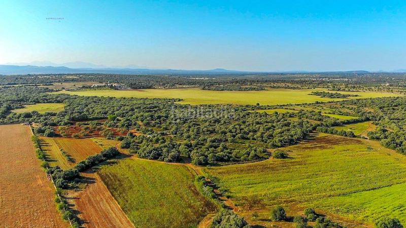 Foto f7ecf1ea-f4d4-4037-ab5c-267116319271. Finca rústica a Ses Salines poble Ses Salines