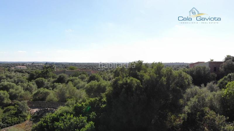 Foto 5f3f738a-de82-45b5-8374-3834e7ef529b. Finca rústica a Ses Salines poble Ses Salines