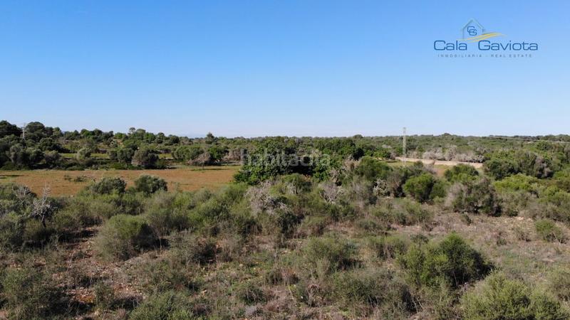 Foto aa9b1e07-6f31-47f2-9532-d233f5b7c158. Finca rústica a Ses Salines poble Ses Salines