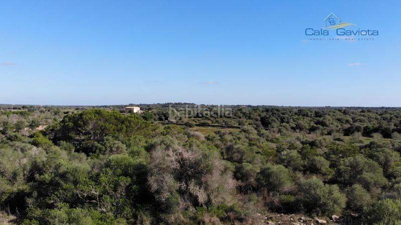 Foto afad2441-52e5-4438-95c9-34ee1a43ecfb. Finca rústica a Ses Salines poble Ses Salines