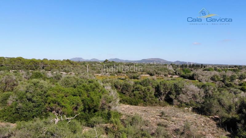 Foto e8f59773-3894-4d07-aa48-2aaaa33f924d. Finca rústica a Ses Salines poble Ses Salines