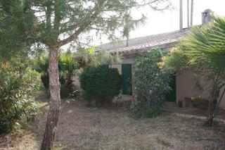 Rural plot in Ses Salines Poble. Terreno rústico con pequeña casita