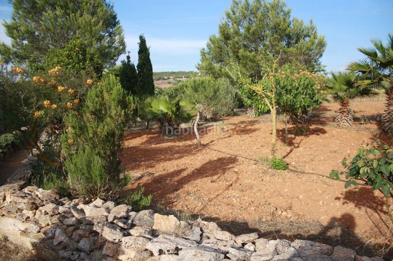 Foto 74287e96-a41c-458f-b3ef-4d26423a0825. Finca rústica a Ses Salines poble Ses Salines