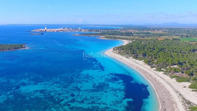 Foto bce1d8f7-9db3-4c81-b4bf-9fb96b1ce2fe. Pis a Colònia Sant Jordi Ses Salines