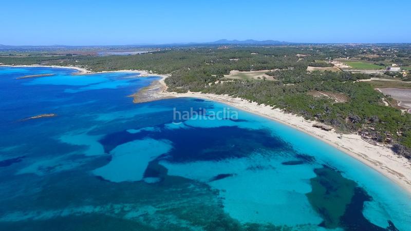 Foto ddba1459-e27e-4c8d-a300-95dddeb0ce55. Pis a Colònia Sant Jordi Ses Salines