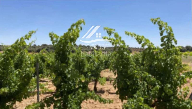 Foto 423e9ceb-e62e-4b51-9717-ea75bde8fc69. Finca rústica a Hinojosos (Los)