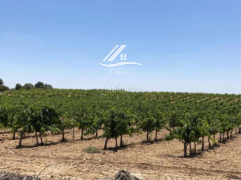 Foto 51926584-131f-41f9-bd18-d59f975ca20b. Finca rústica a Hinojosos (Los)