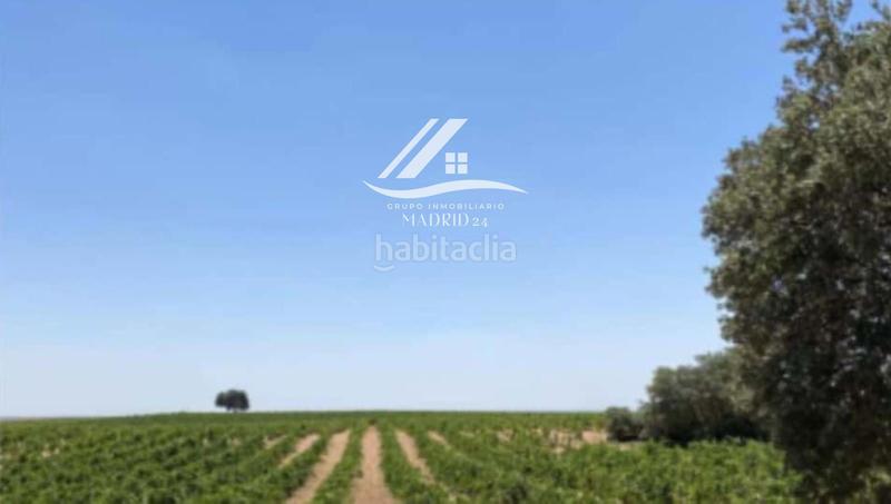 Foto 6945b8c7-8342-428f-b85e-f8ac981653fc. Finca rústica a Hinojosos (Los)