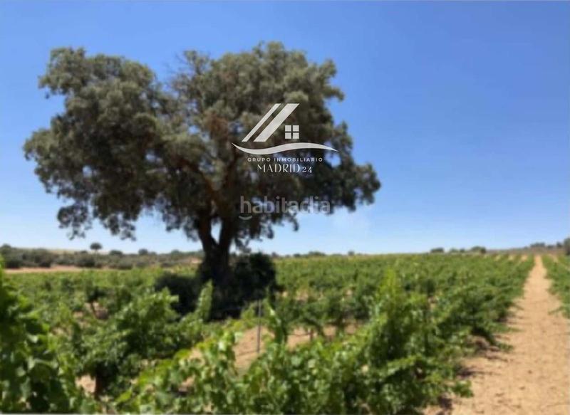 Foto 7534b93a-9406-428c-a332-81c92419e7f3. Finca rústica a Hinojosos (Los)