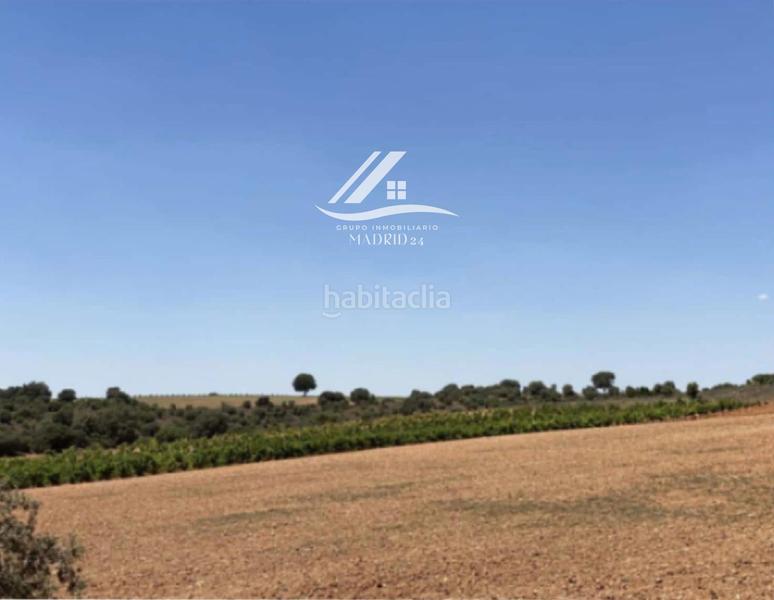 Foto 795fbf4a-dc14-4749-ae2e-d8add96e668b. Finca rústica a Hinojosos (Los)