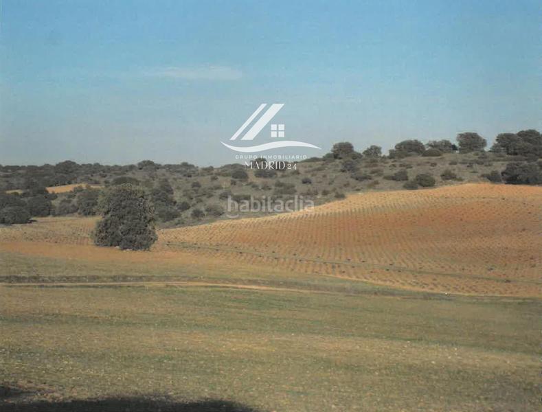 Foto 7e617339-de69-4898-a3b0-5d0793cd5393. Finca rústica a Hinojosos (Los)