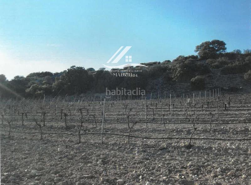 Foto 80d03682-dd58-4588-bd17-04a75bc4668b. Finca rústica a Hinojosos (Los)