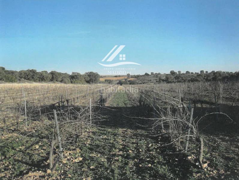 Foto 8be1de77-e7a4-4847-a04c-bb87119196d3. Finca rústica a Hinojosos (Los)
